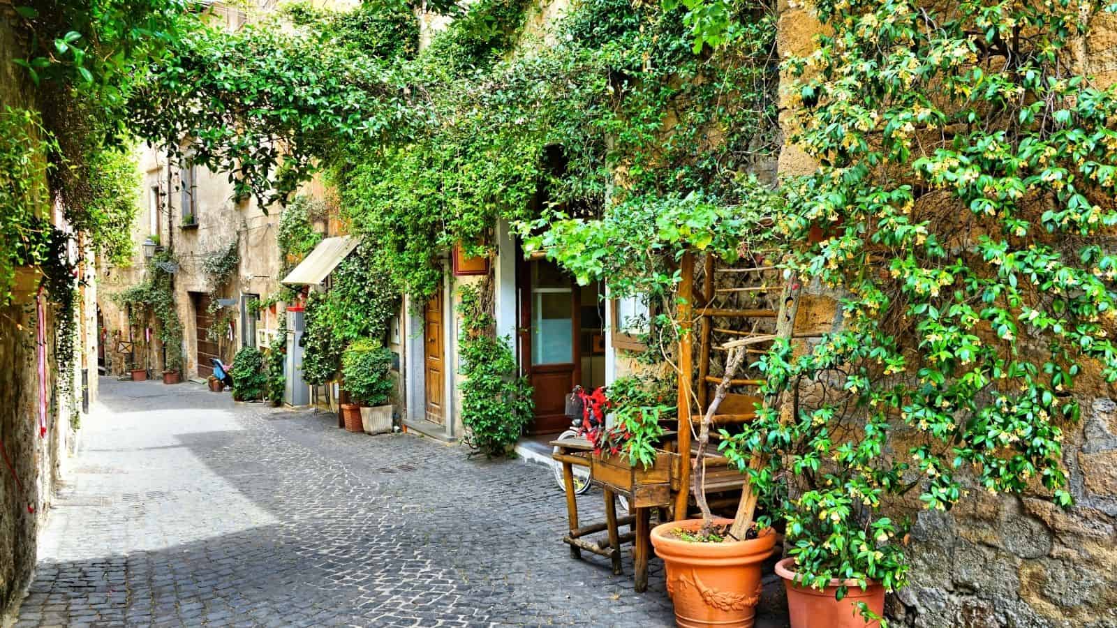 Narrow cobblestone street lined with stone buildings and lush green vines, potted plants, and outdoor furniture.