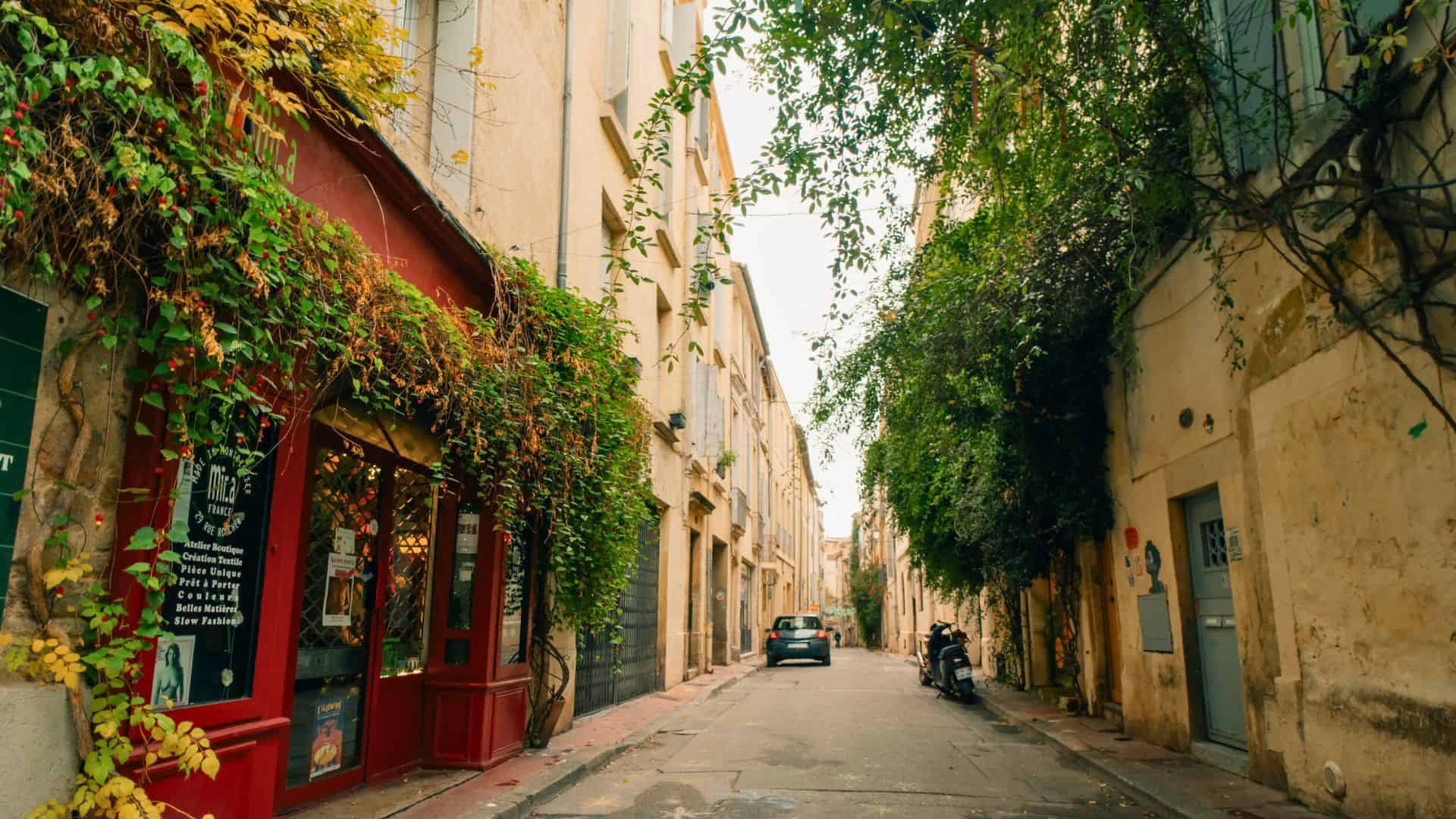 Narrow European street with vines, a red storefront, parked car, and scooters along old buildings.