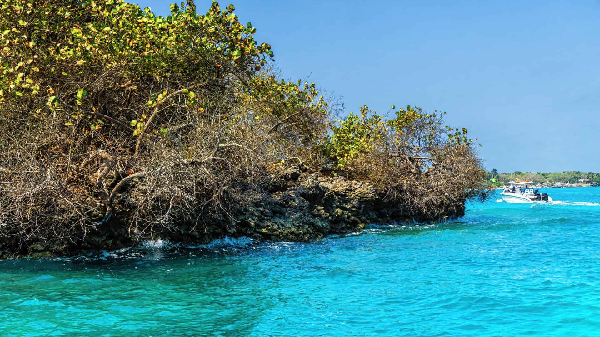 Bright turquoise water near rocky shoreline with green shrubs, a speedboat in the distance, and a clear blue sky.