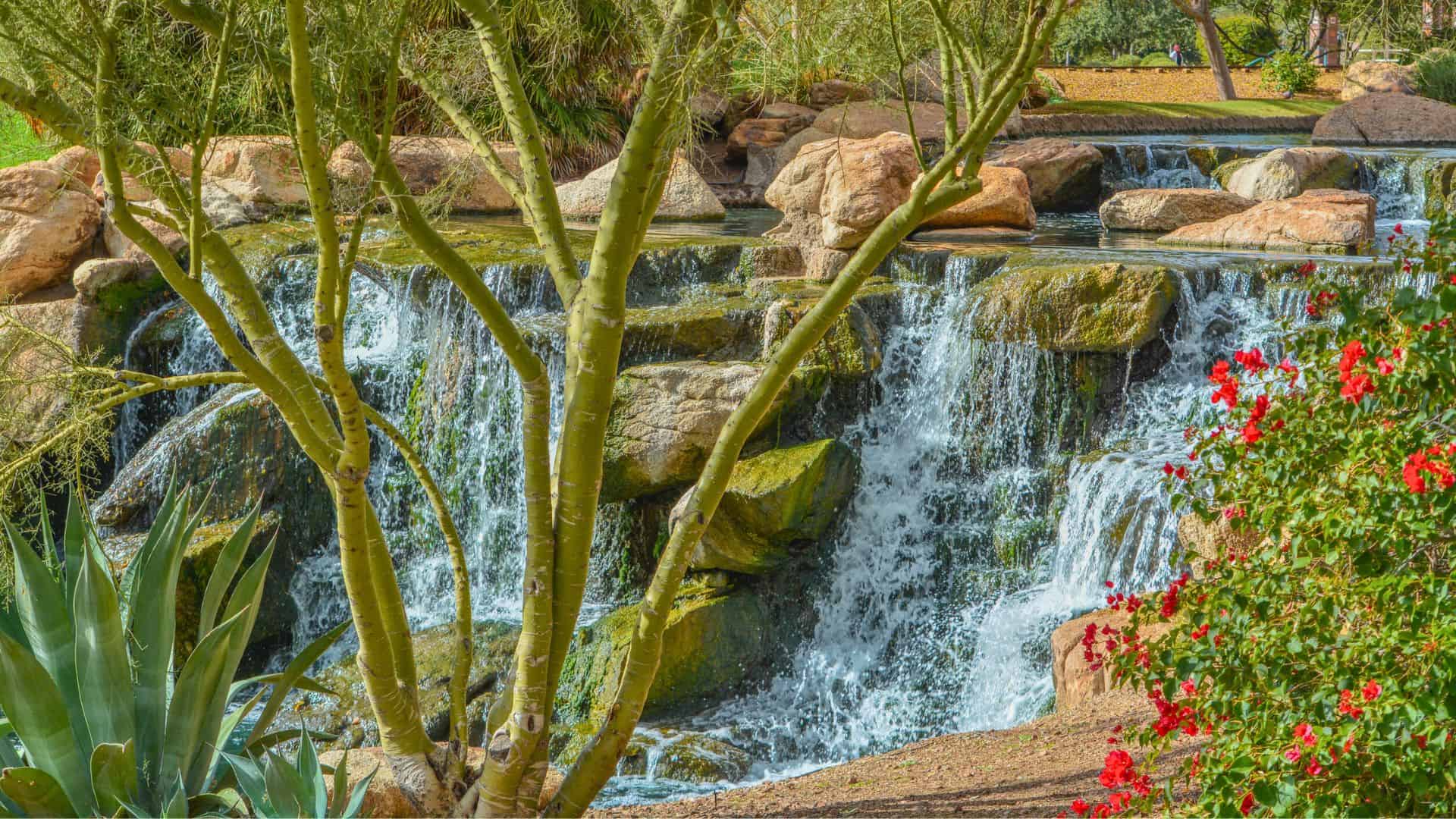 Small waterfall flowing over rocks, surrounded by trees, agave, and bright red flowers in a lush garden.