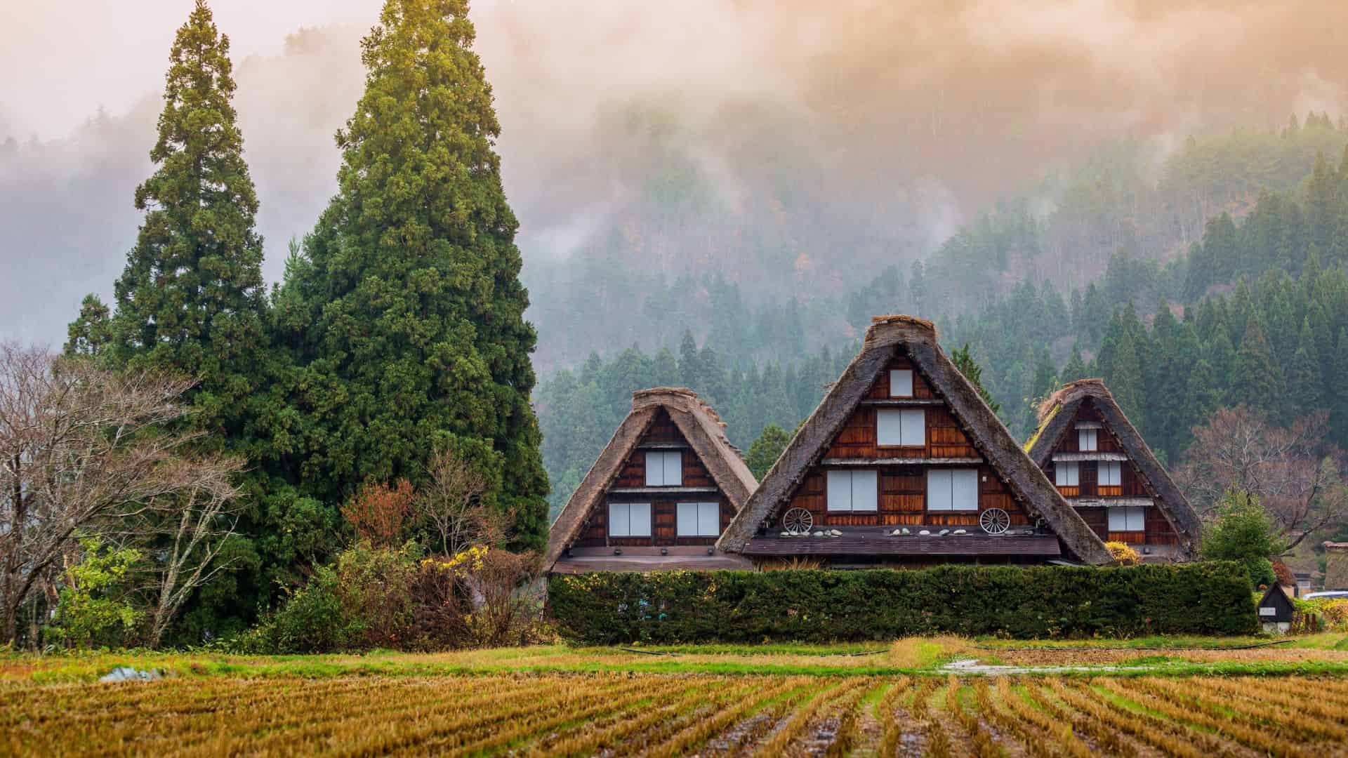 Traditional thatched-roof houses among tall trees and rice fields, with misty mountains in the background.