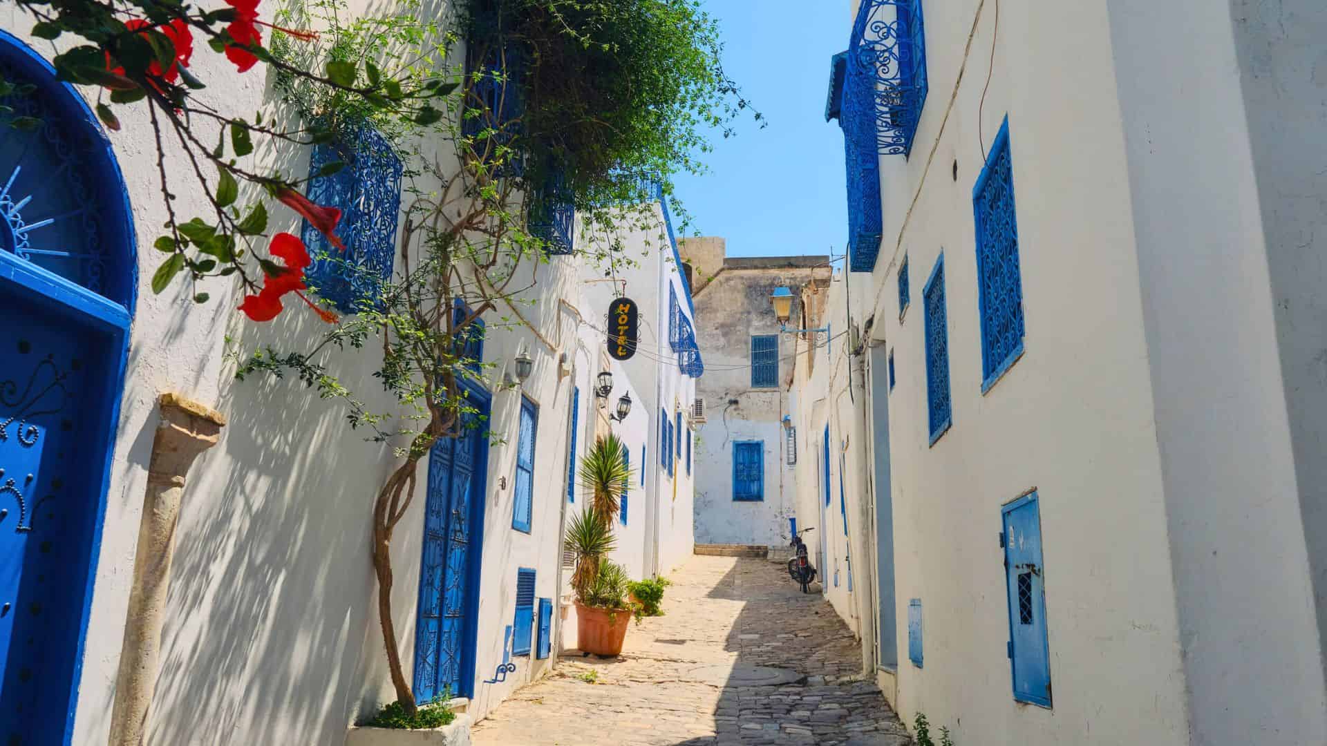 Sunny alley with white walls, blue doors and windows, flowers, and potted plants in a Mediterranean town.