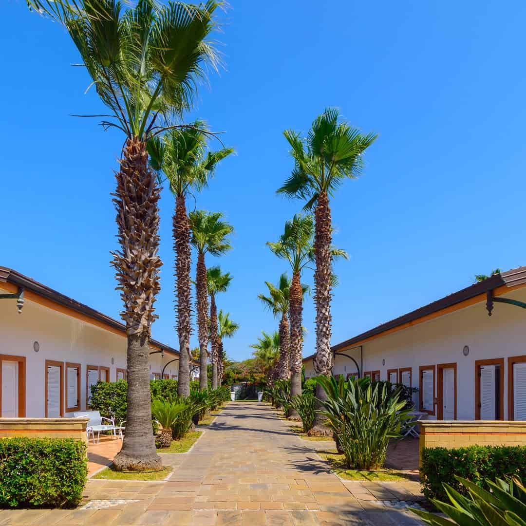 Palm trees line a stone walkway between two rows of white buildings under a clear blue sky, evoking the relaxed charm found at the best beach resorts in Italy for families.