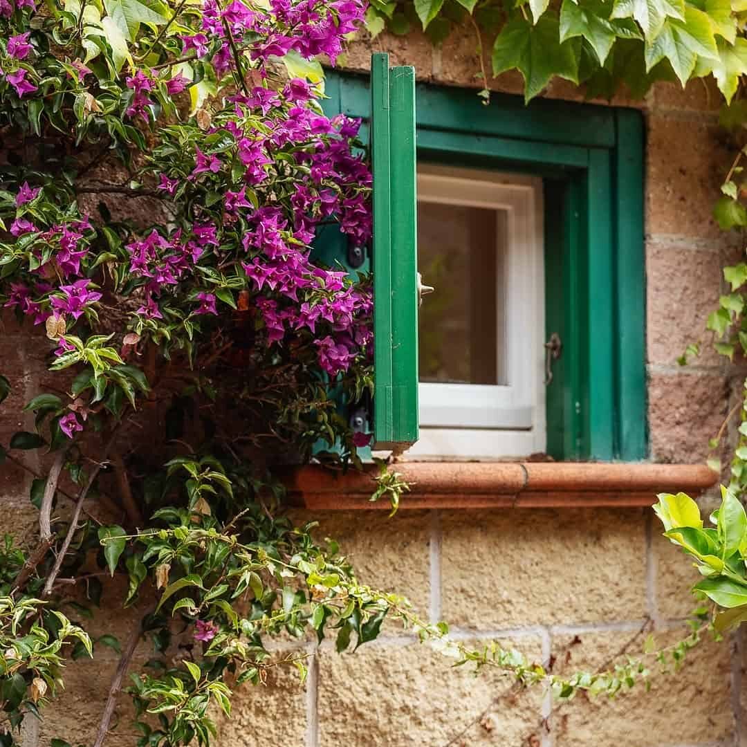 Green window with open shutter on a stone wall, surrounded by purple flowers and green ivy&mdash;reminiscent of charming views at the best beach resorts in Italy for families.