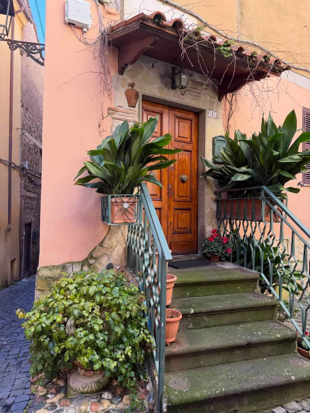A wooden door atop mossy stone steps, flanked by large green plants and potted flowers—an inviting scene perfect for your 4 days in Castel Gandolfo.