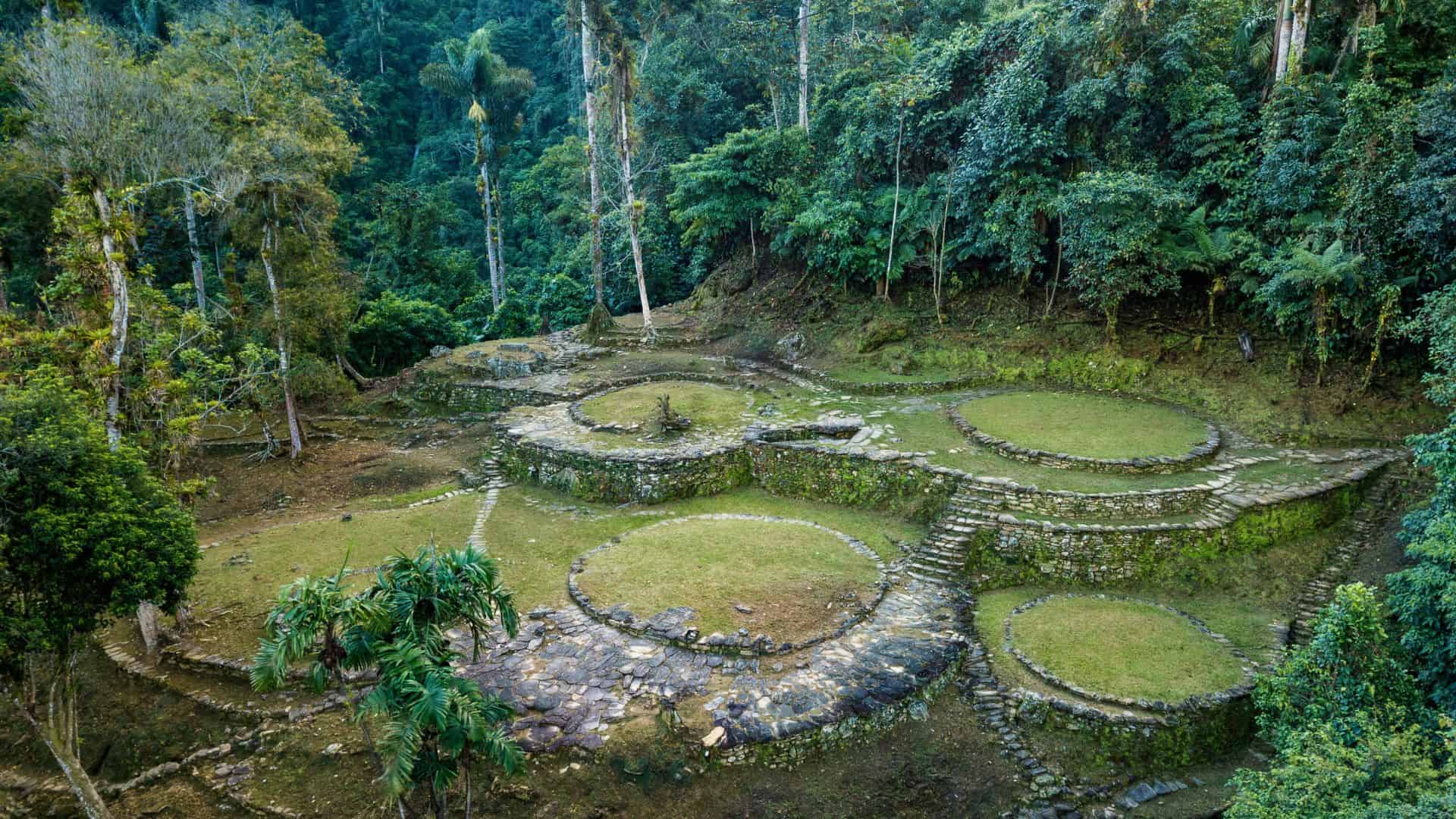 Stone terraces and circular platforms surrounded by dense jungle vegetation, seen from above.