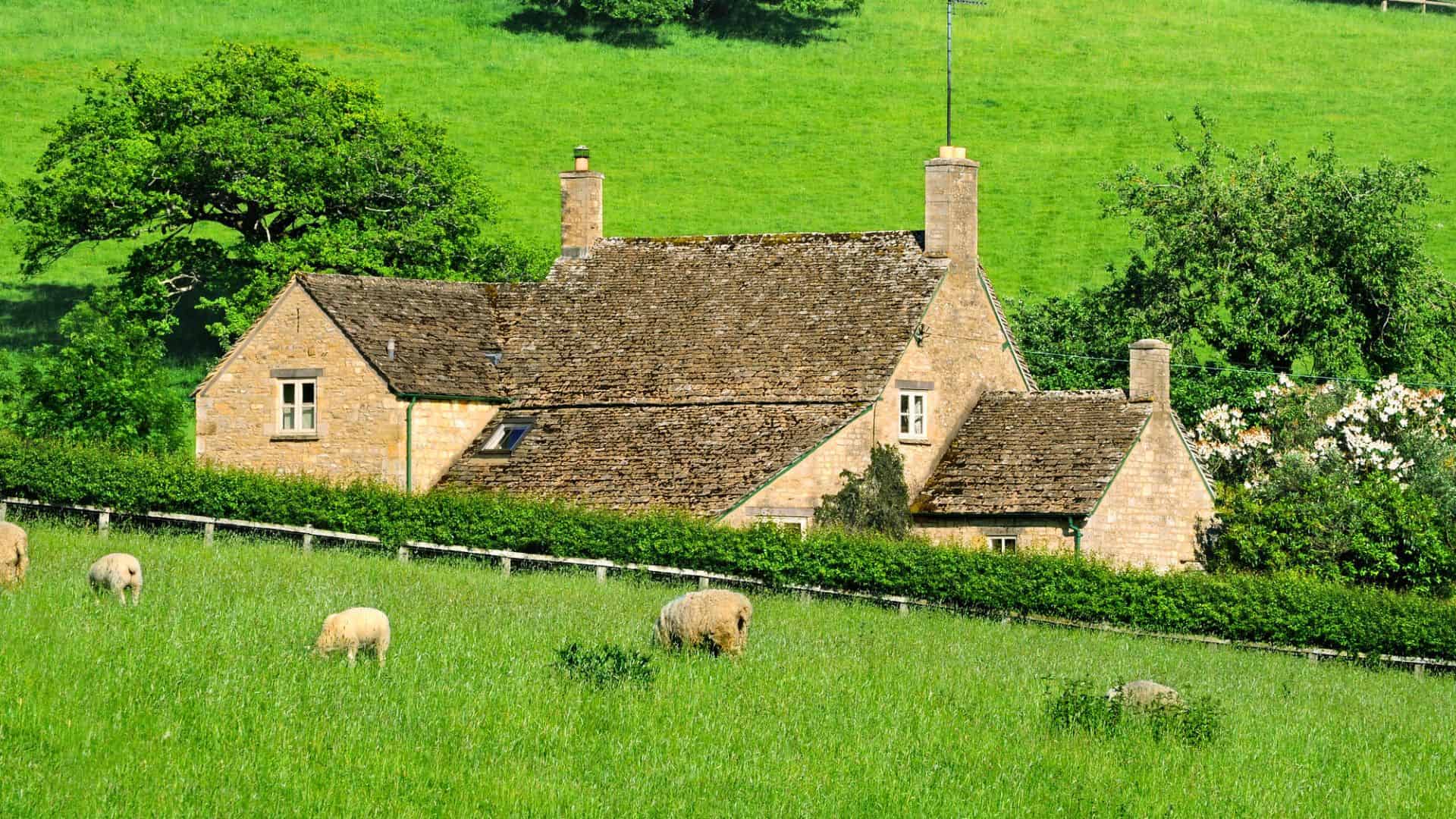 Stone cottage with a tiled roof, surrounded by greenery and grazing sheep in a grassy field.
