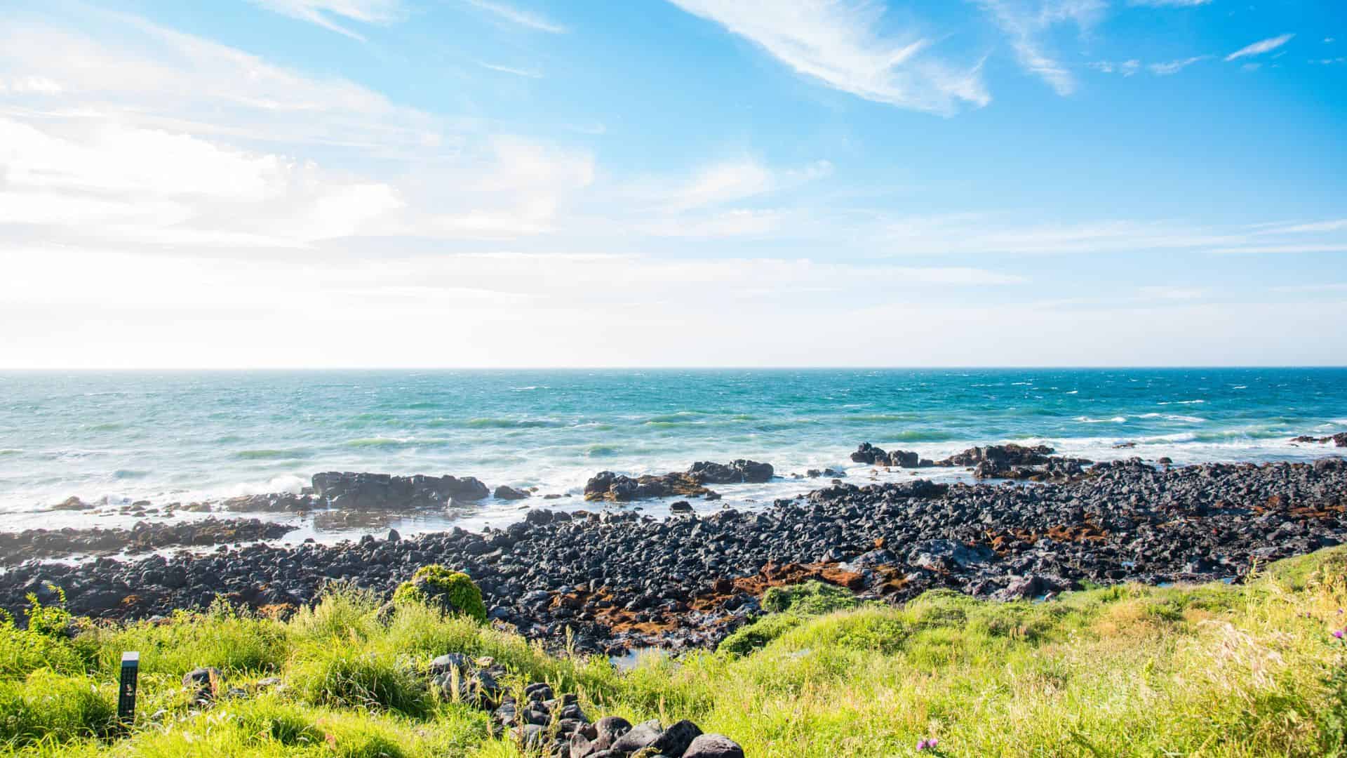 Rocky coastline with green grass in the foreground and blue ocean under a bright, partly cloudy sky.