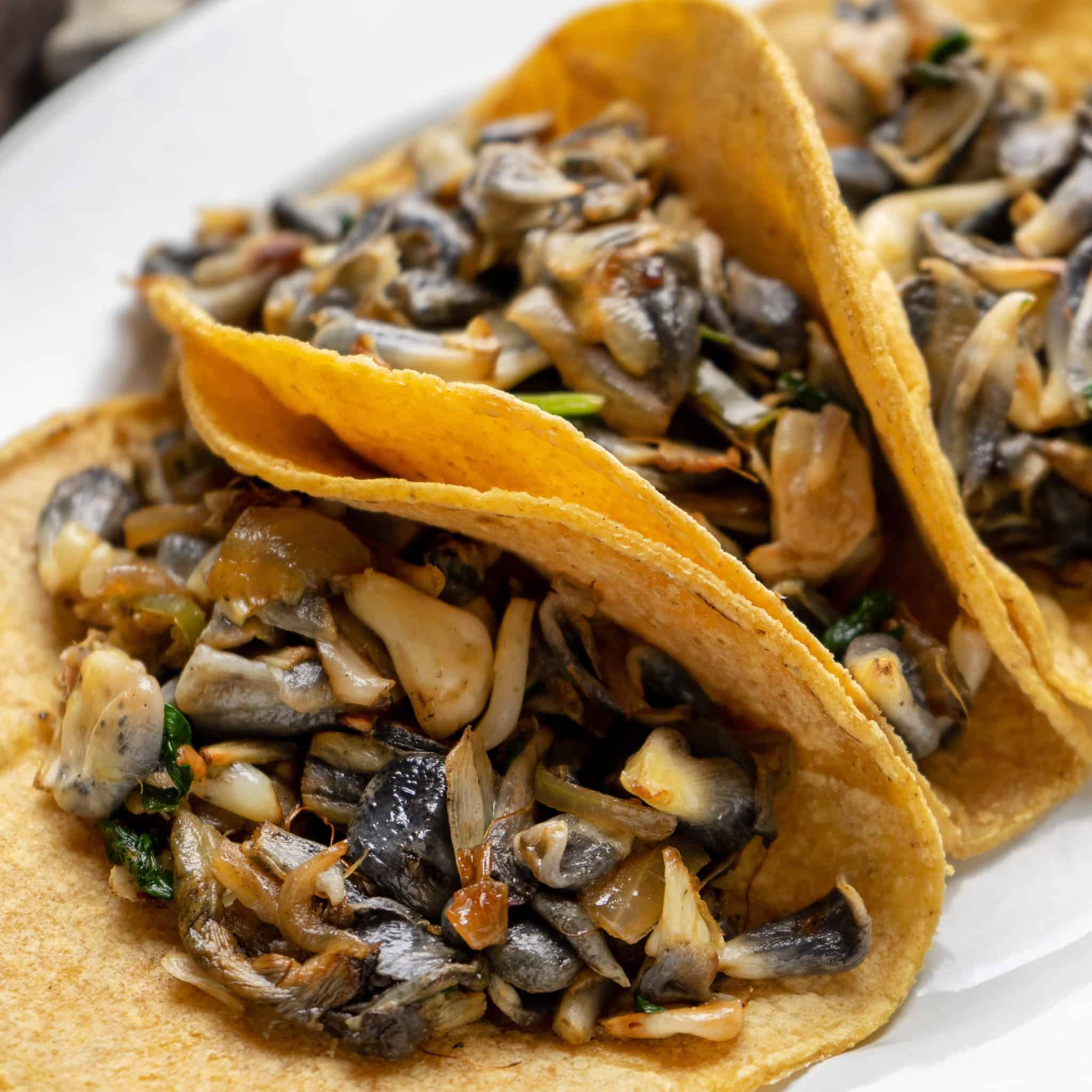 Three tacos filled with saut&eacute;ed mushrooms and vegetables on a white plate&mdash;one of the best vegetarian Mexican dishes to savor.