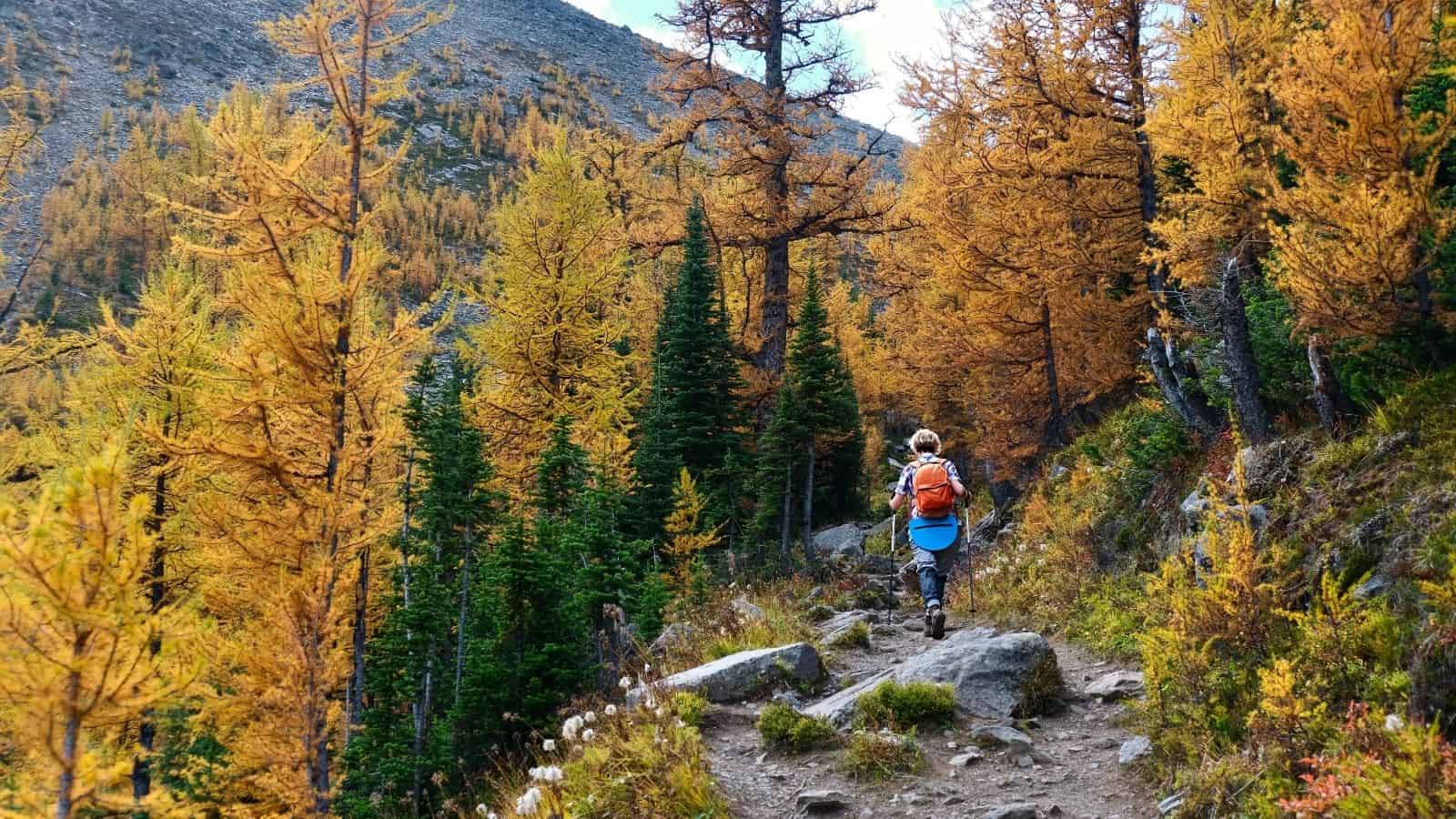 Person hiking a rocky trail through autumn forest with orange and green trees in the mountains.