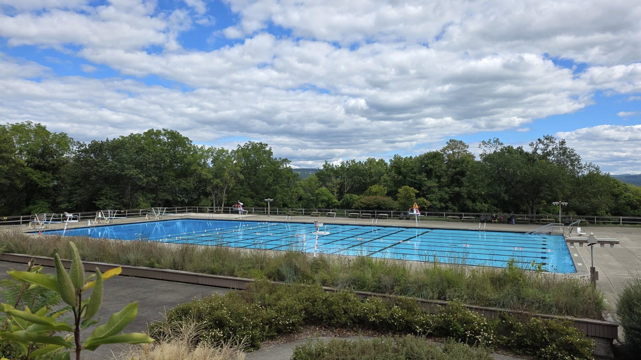 Outdoor swimming pool with clear blue water, surrounded by trees and greenery under a partly cloudy sky, reminiscent of the natural beauty found at Watkins Glen State Park.