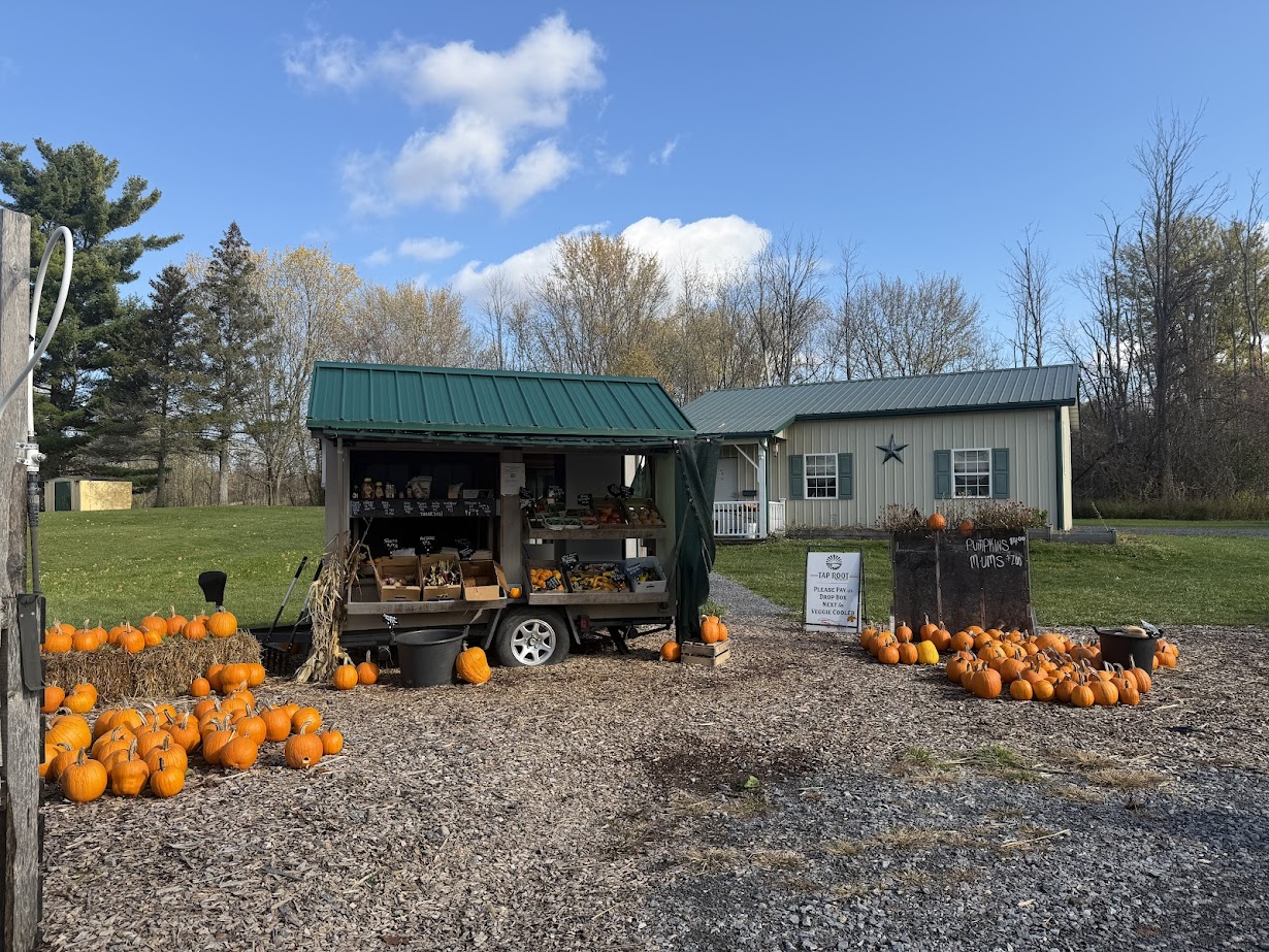 Charming small farm stand with pumpkins and produce for sale near a green-roofed building—perfect for a Finger Lakes weekend getaway or fall road trip on a sunny day.