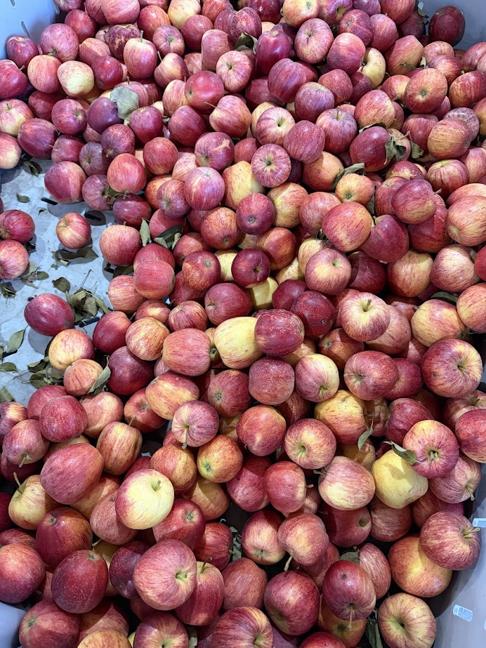 A large pile of red and yellow apples with some leaves mixed in—perfect for a Finger Lakes weekend getaway or adding to your fall road trip itinerary.