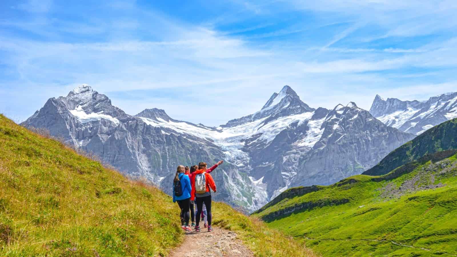 Three hikers on a grassy trail, with snow-capped mountains and blue sky in the background.