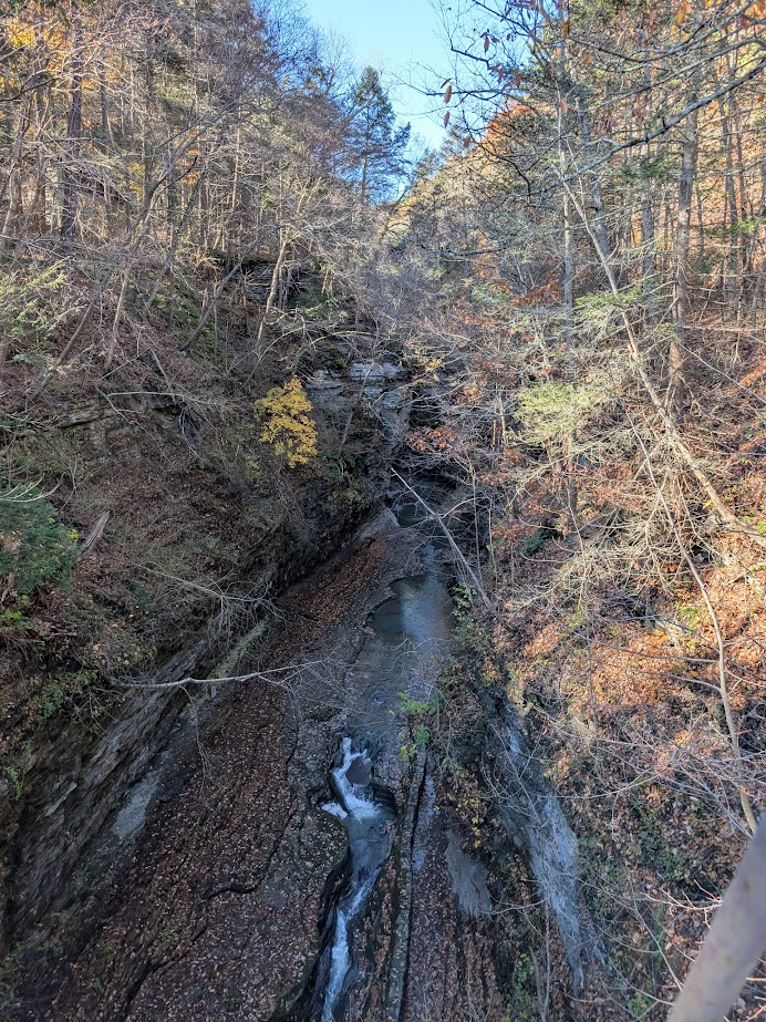Narrow rocky gorge with a small stream, surrounded by trees with autumn leaves and bare branches, reminiscent of the scenic beauty found in Watkins Glen State Park.