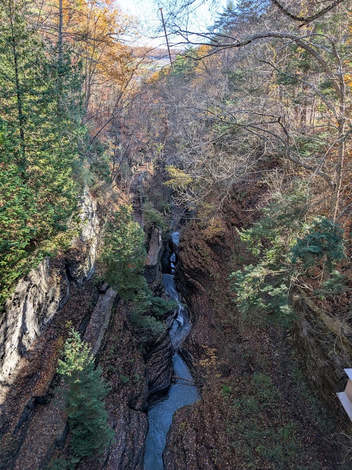 Narrow, rocky gorge with a stream running through it, surrounded by trees with autumn foliage&mdash;reminiscent of the scenic beauty found at Watkins Glen State Park.