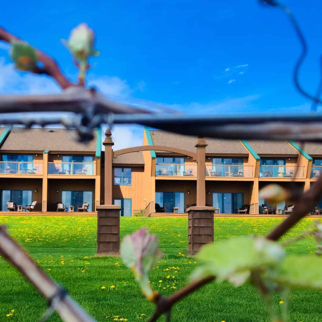 Modern lodge-style building with balconies, seen through grapevines on a bright, sunny day&mdash;one of the inviting Finger Lakes Wineries with Lodging perfect for your next getaway.