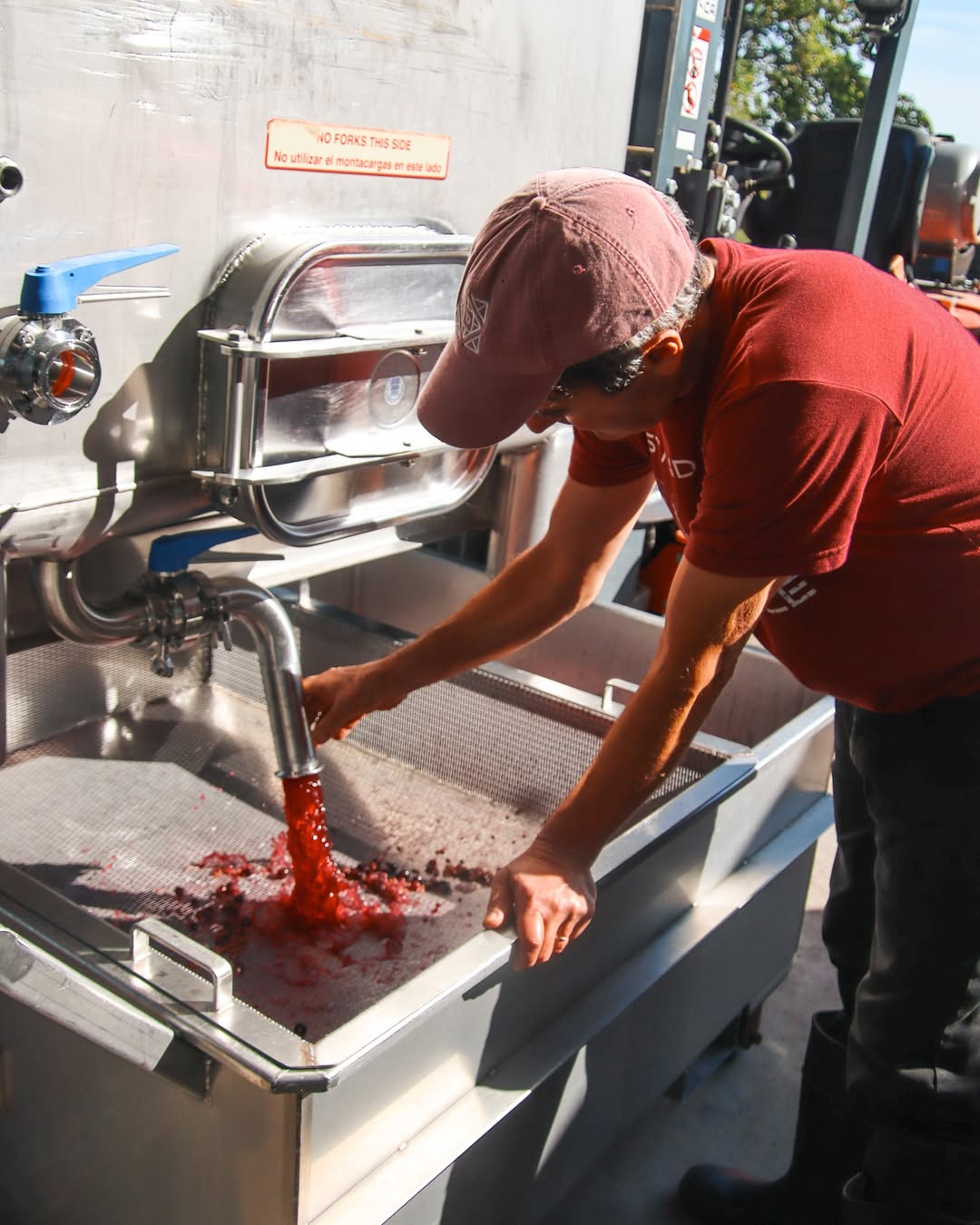 A person in a red shirt processes crushed grapes into a large metal container at one of the best wineries in Finger Lakes.