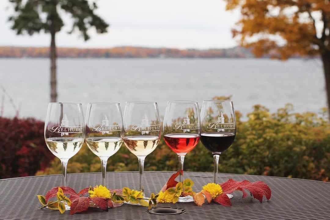 Five glasses of wine on a table with autumn leaves, overlooking a lake and vibrant fall foliage&mdash;discover Finger Lakes Wineries with Lodging for the perfect seasonal getaway.