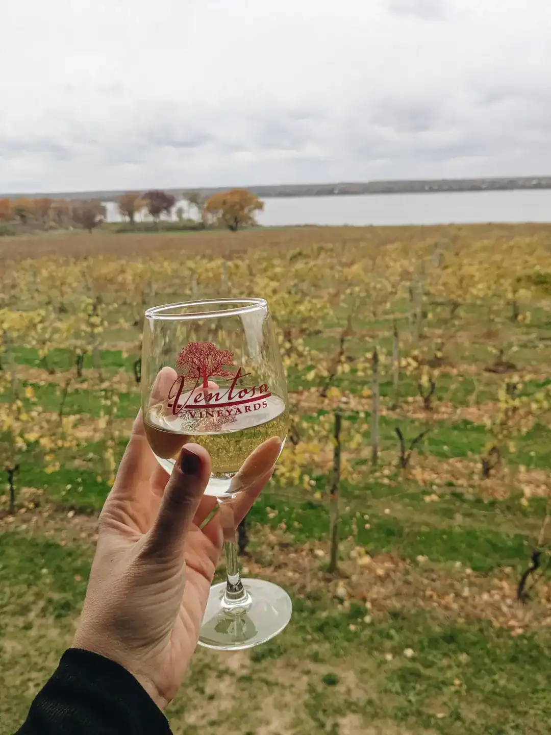 A hand holds a Ventosa Vineyards wine glass with grapevines and a lake in the background on a cloudy day, capturing the charm of Finger Lakes Wineries with Lodging.