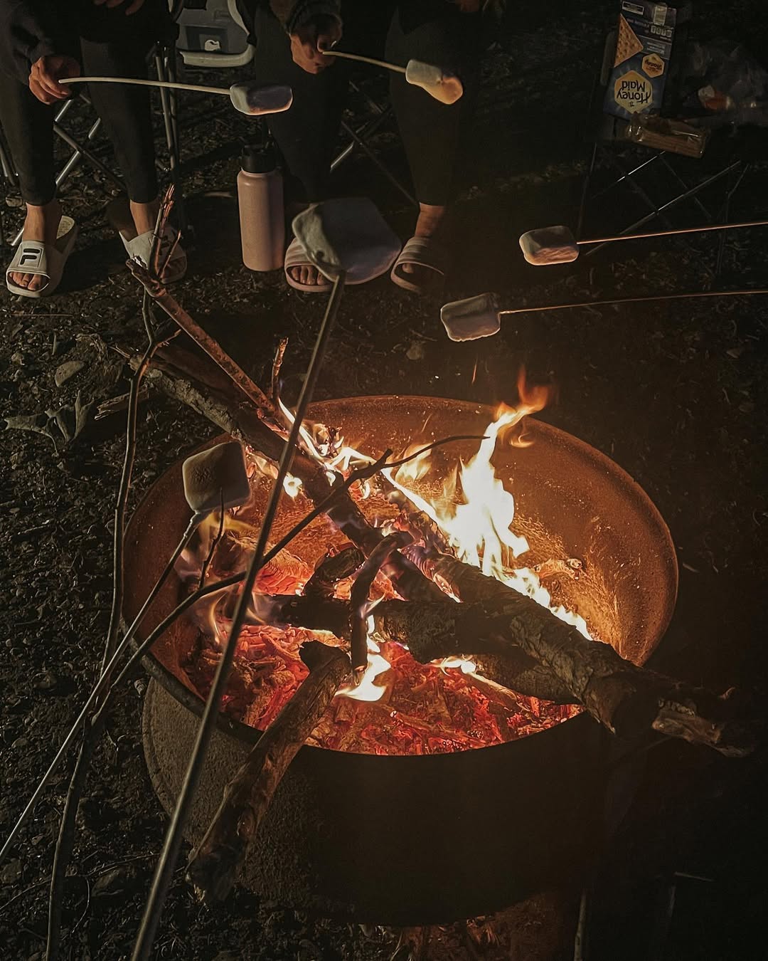 People roasting marshmallows over a campfire at night, with sticks and firewood in the flames, enjoy a cozy evening at Watkins Glen State Park.