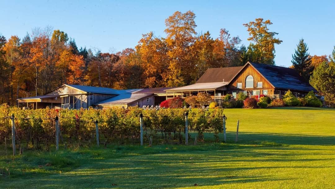 A rustic house and barn sit by a vineyard with colorful autumn trees in the background under a clear sky, offering the perfect escape for those seeking Finger Lakes Wineries with Lodging.