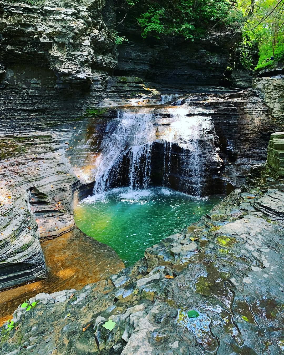 A small waterfall flows into a clear, greenish pool surrounded by layered rocky cliffs and lush greenery, capturing the natural beauty of Watkins Glen State Park.