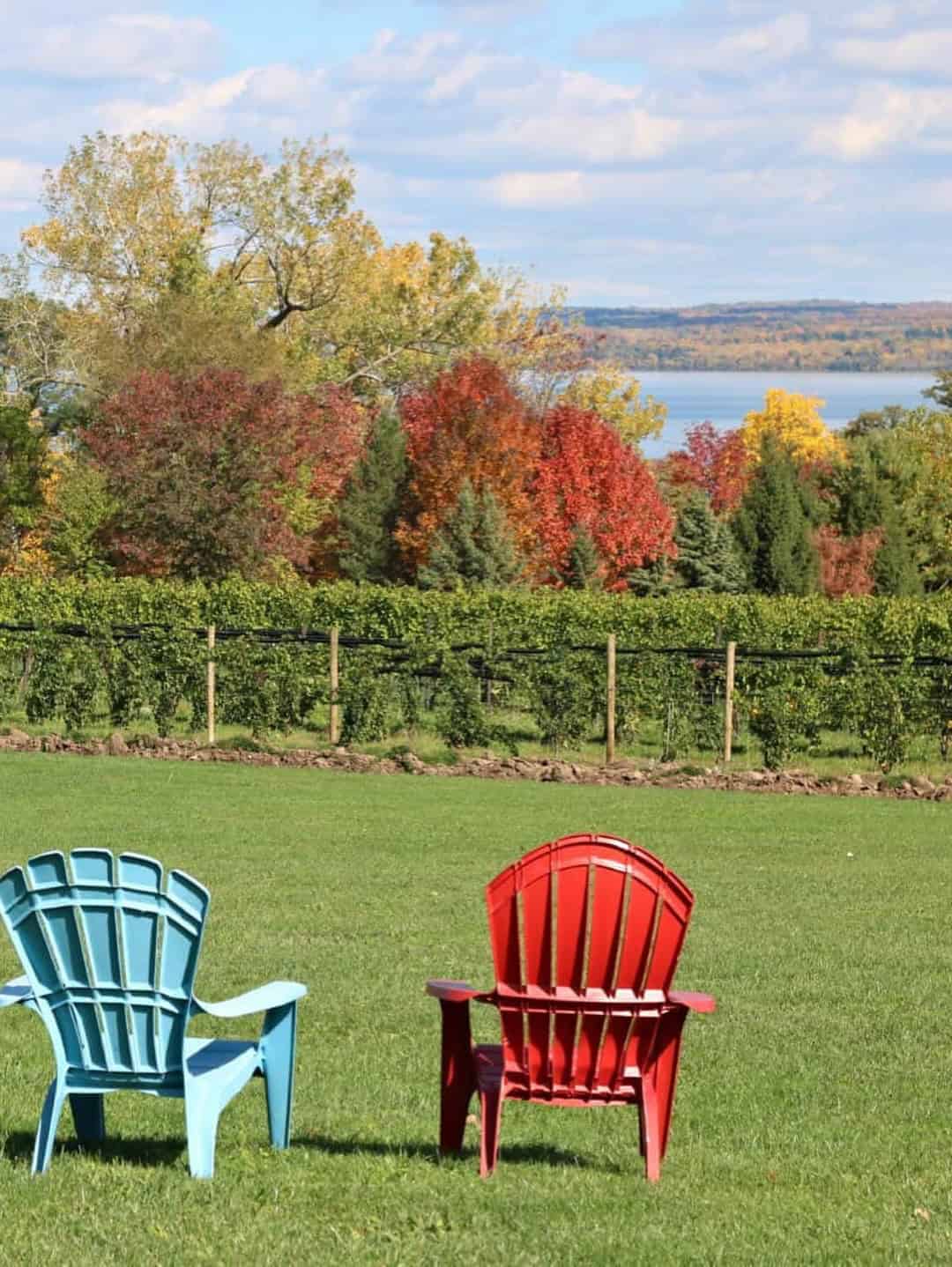 Two empty Adirondack chairs, one blue and one red, on grass face colorful autumn trees and a lake&mdash;an inviting scene reminiscent of relaxing stays at Finger Lakes Wineries with Lodging.