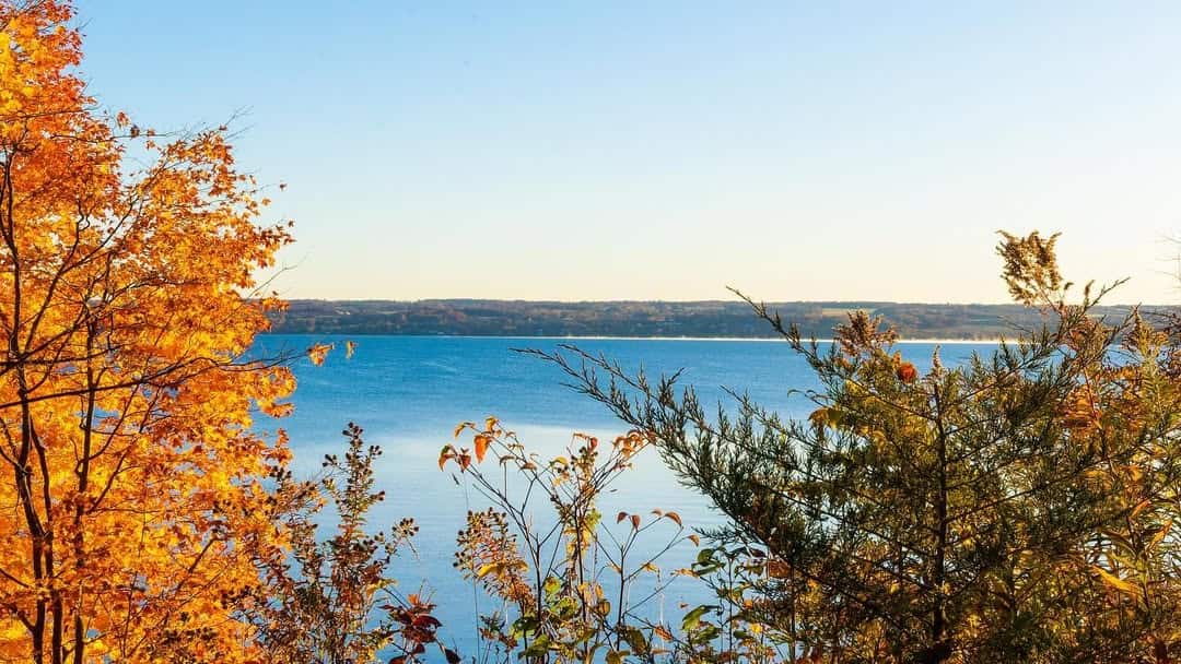 Bright autumn trees frame a calm blue lake under a clear sky, with distant hills on the horizon&mdash;an inviting scene reminiscent of Finger Lakes wineries with lodging, where nature and comfort blend seamlessly.