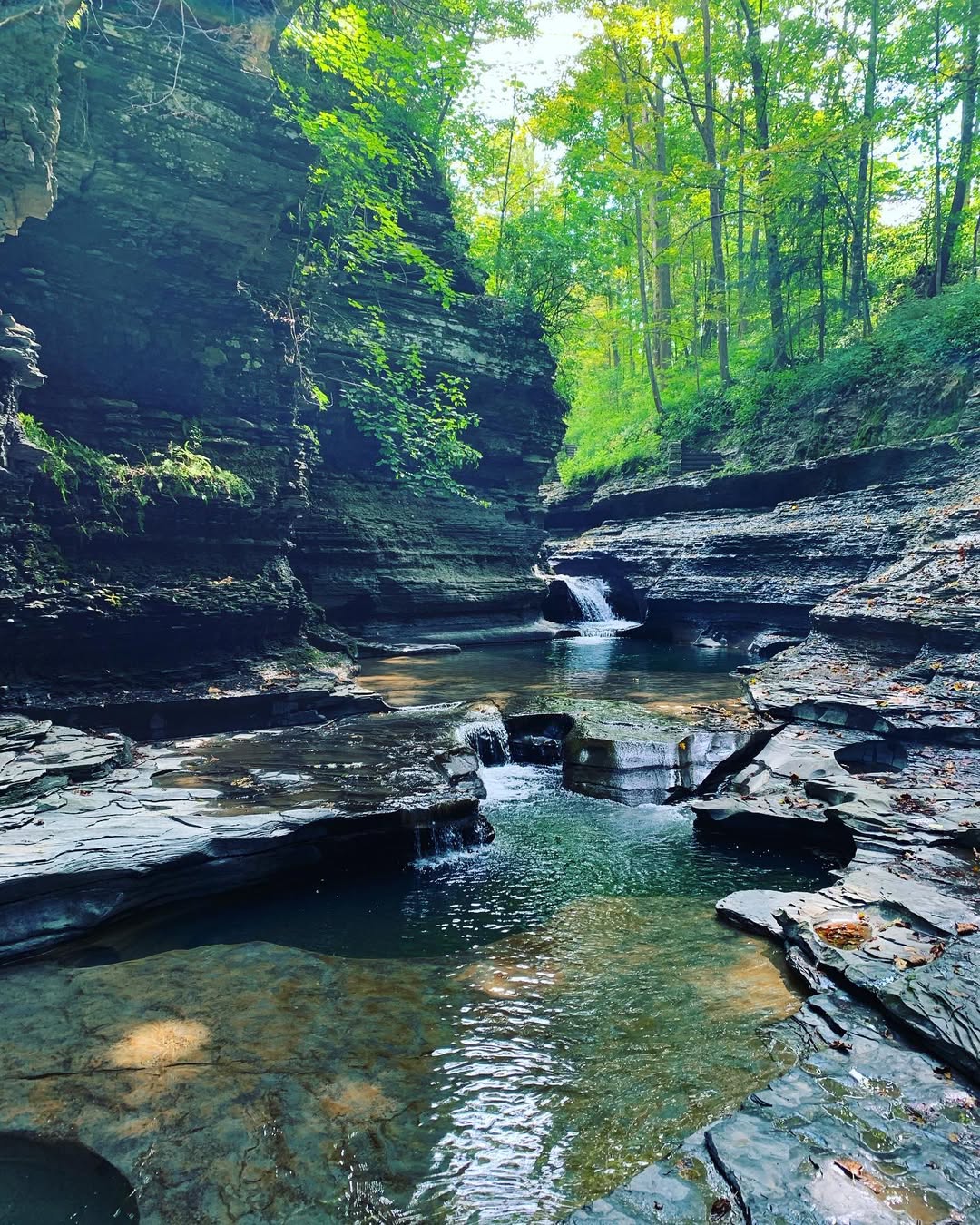 Rocky stream with small waterfalls flows through a lush, green forested gorge under sunlight in Watkins Glen State Park.