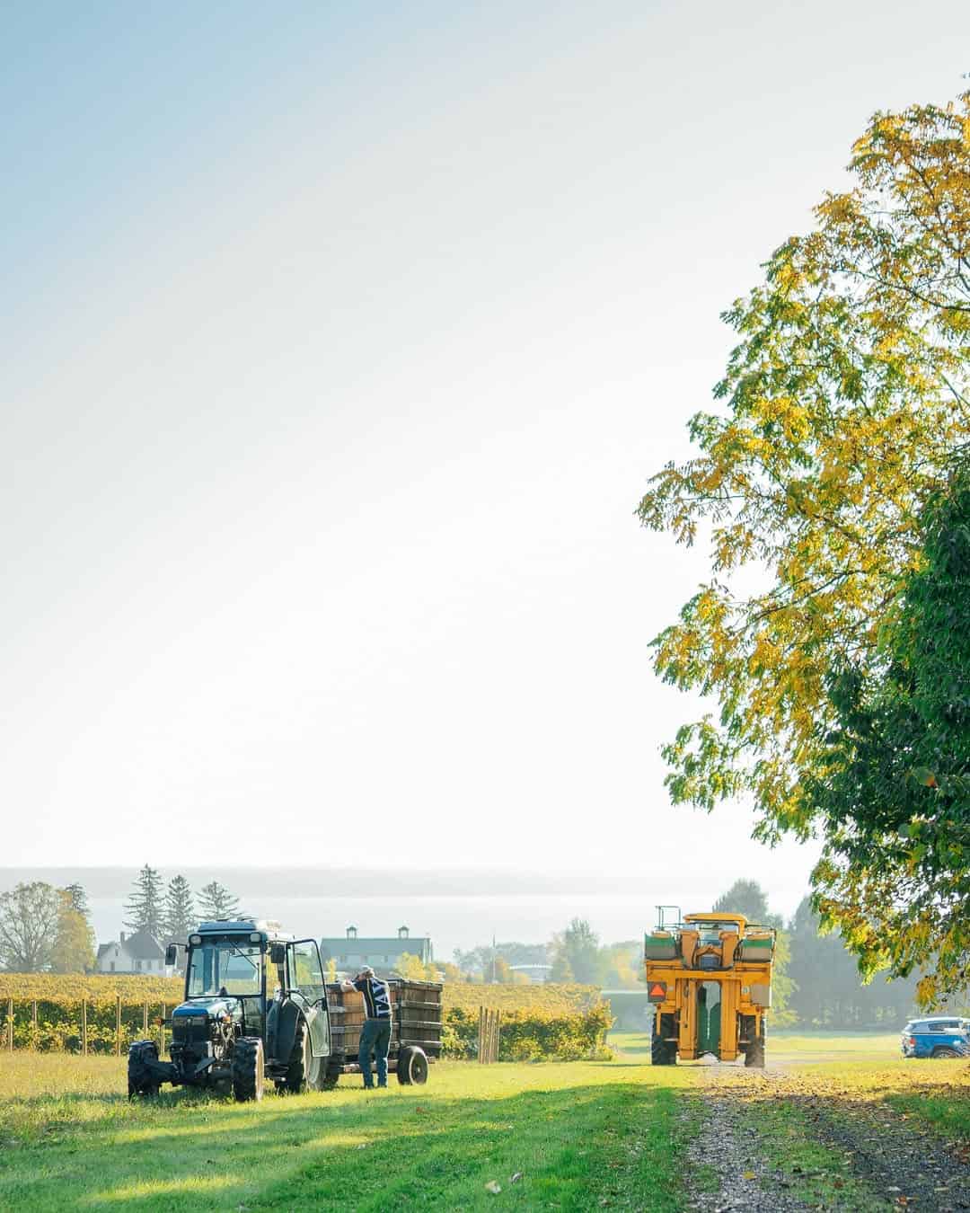 A tractor and a worker in a sunny field with trees and machinery, under a clear sky&mdash;reminiscent of the scenic views near Finger Lakes Wineries with Lodging.