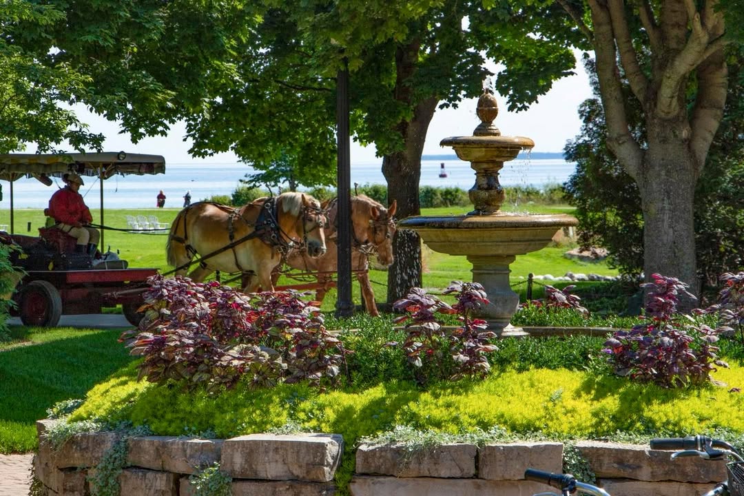 Horse-drawn carriage passing a stone fountain in a sunny, green park with trees and plants, creating a scene reminiscent of the lush grounds found at top family resorts.