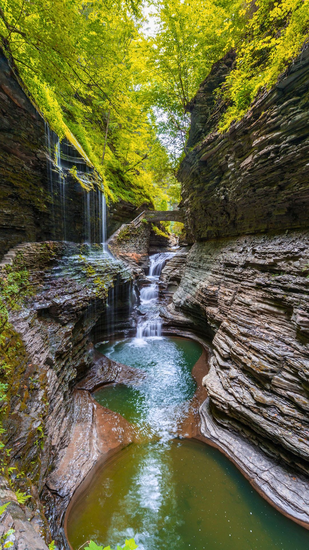 A small waterfall flows through layered rock formations and a lush green forest, with a stone bridge above&mdash;perfect for a Family Day adventure at Watkins Glen State Park.
