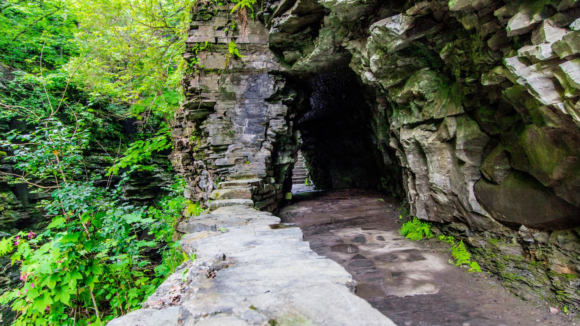 Stone path leading through a rocky cave surrounded by lush green foliage in a natural setting, reminiscent of the scenic trails found at Watkins Glen State Park.