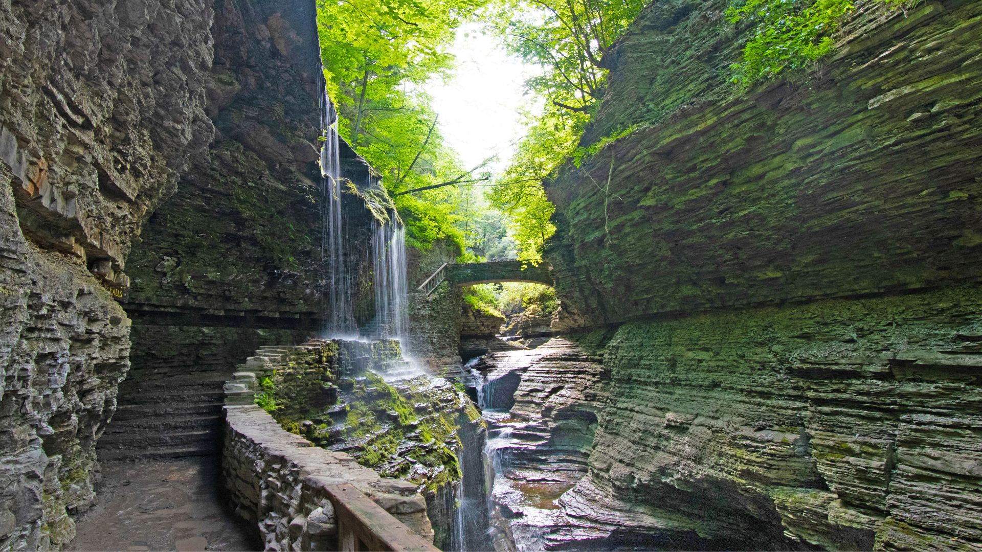 A narrow gorge at Watkins Glen State Park features a waterfall, rocky cliffs, lush green foliage, and a stone bridge overhead.