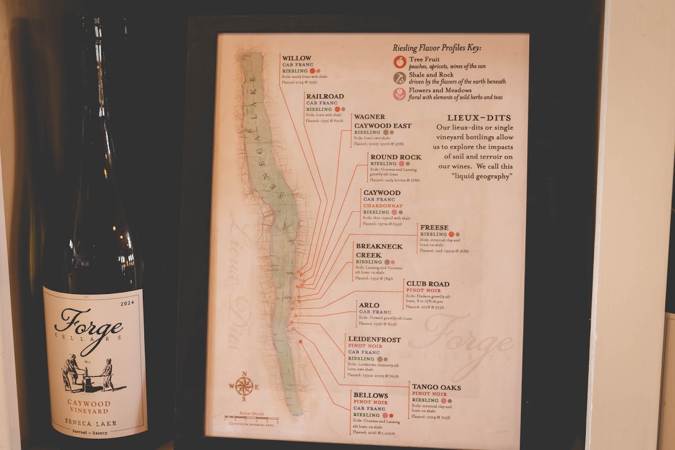 A wine bottle sits beside a framed vineyard map with labeled regions and tasting notes, highlighting the best wineries in Finger Lakes.