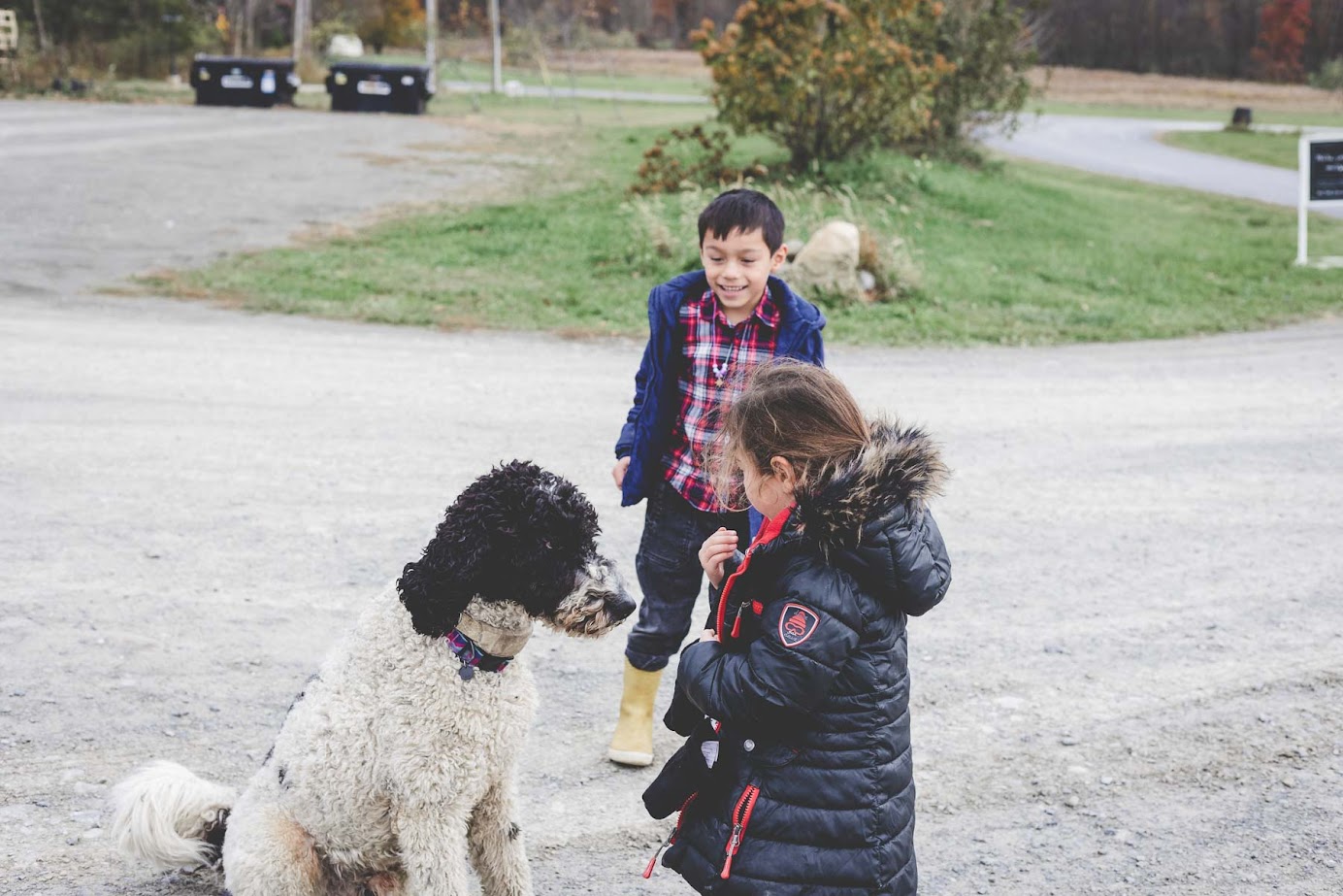 Two children in jackets interact with a black-and-white dog on a gravel path outdoors, enjoying the scenic charm often found near the best wineries in Finger Lakes.