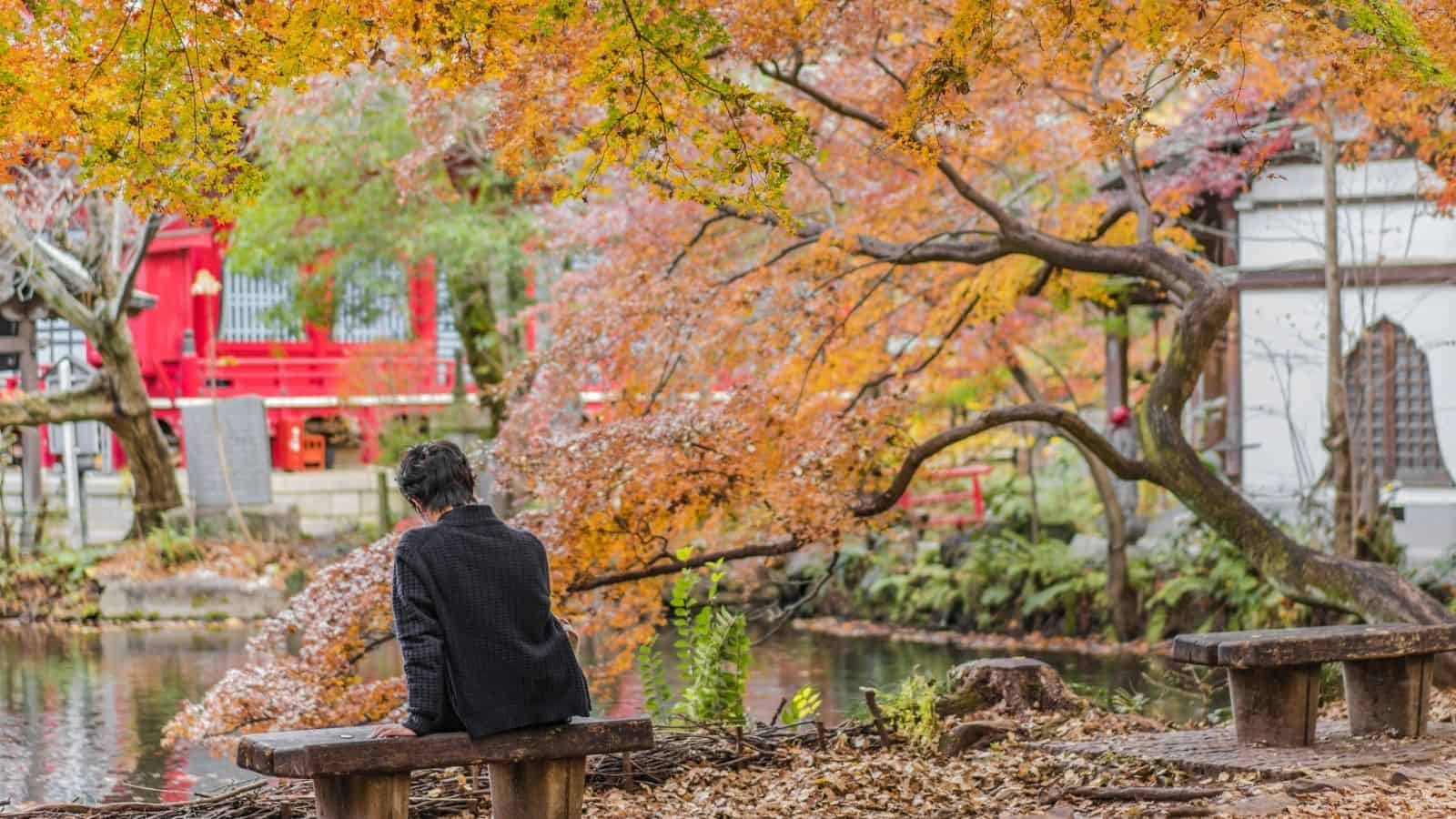 Person sits on a bench by a pond, surrounded by autumn trees with orange and yellow leaves.