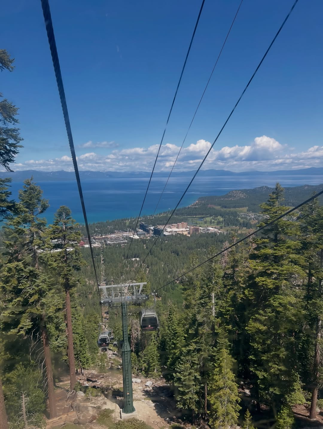 A scenic view of Lake Tahoe with gondolas, tall pine trees, and mountains under a clear blue sky—the perfect backdrop for a memorable family vacation to Lake Tahoe.