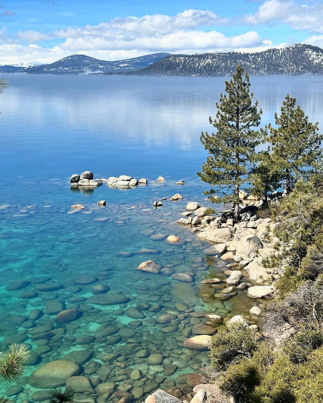 Clear lake water with rocks, pine trees on the shore, and snow-capped mountains in the background under a blue sky—perfect scenery for a family vacation to Lake Tahoe.