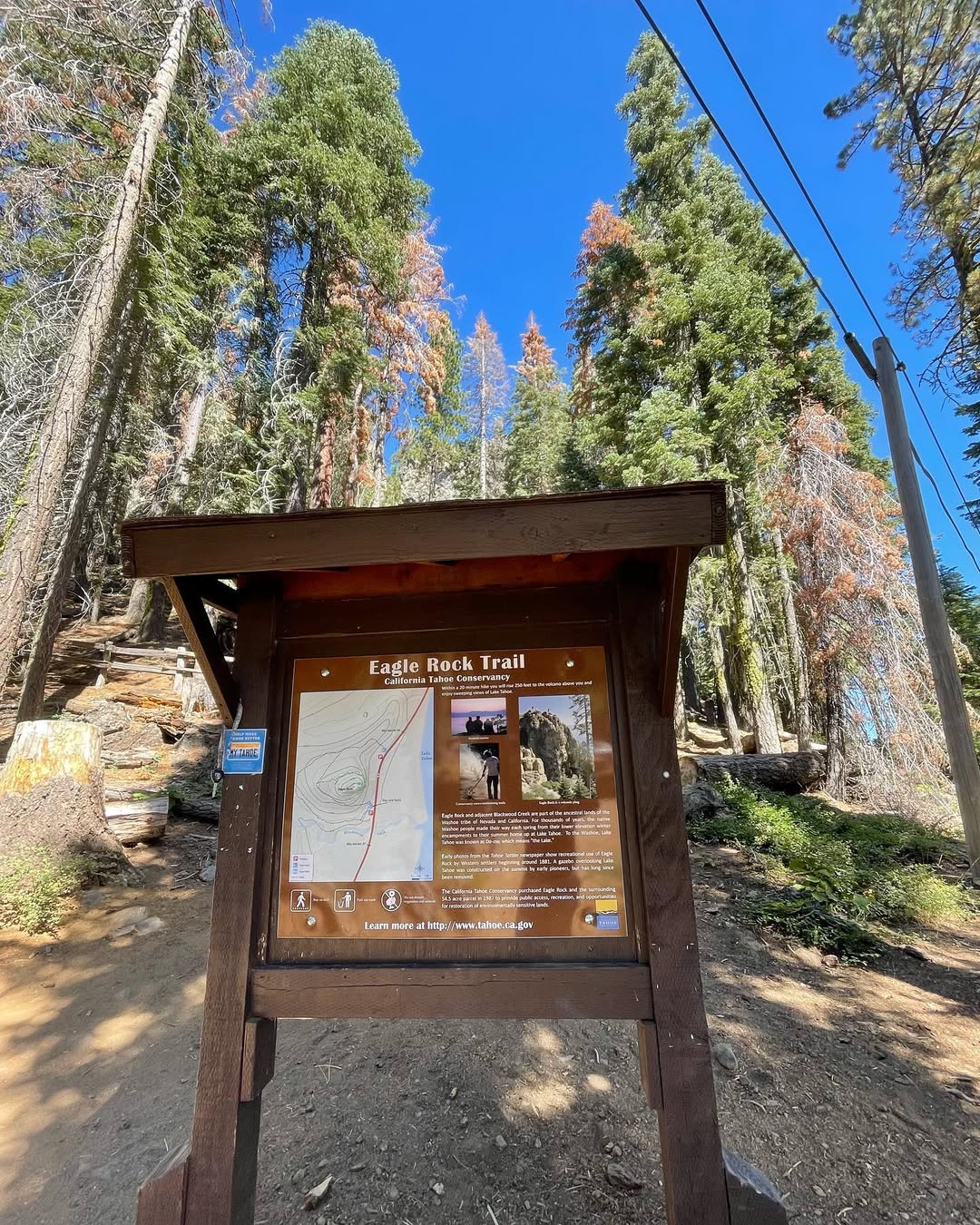 Wooden Eagle Rock Trail sign with a map and info, surrounded by tall pine trees under a clear blue sky—a must-see stop on your family vacation to Lake Tahoe.