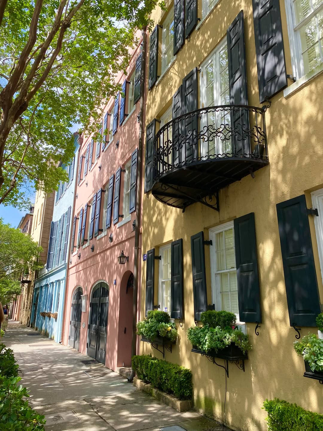 Colorful row houses with shutters, flower boxes, and a wrought iron balcony line a sunny, tree-filled sidewalk—perfect for families seeking things to do in Charleston with kids.