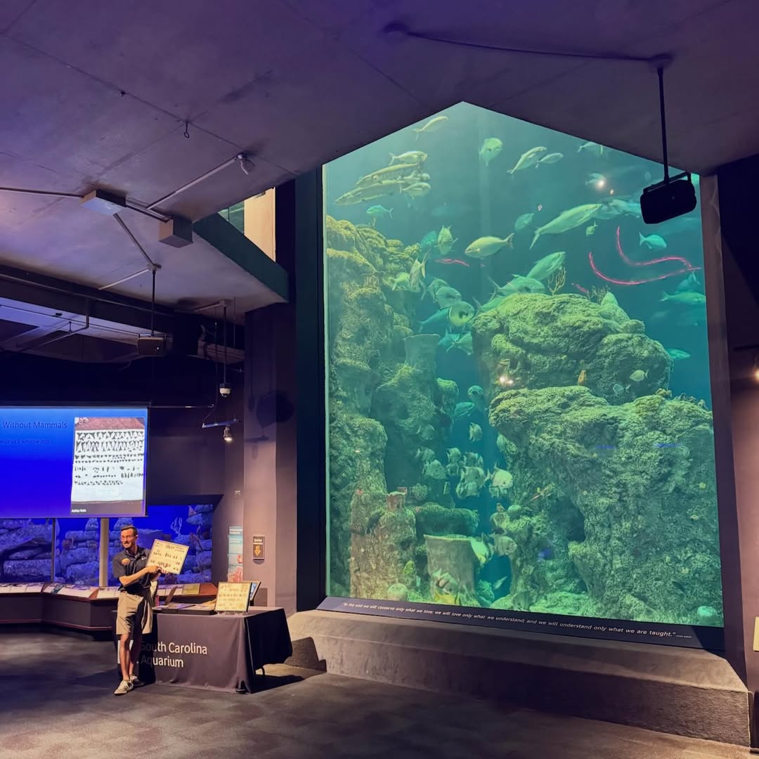 A person stands by a display in front of a large aquarium tank filled with fish and coral—a perfect addition to your list of things to do in Charleston with kids.