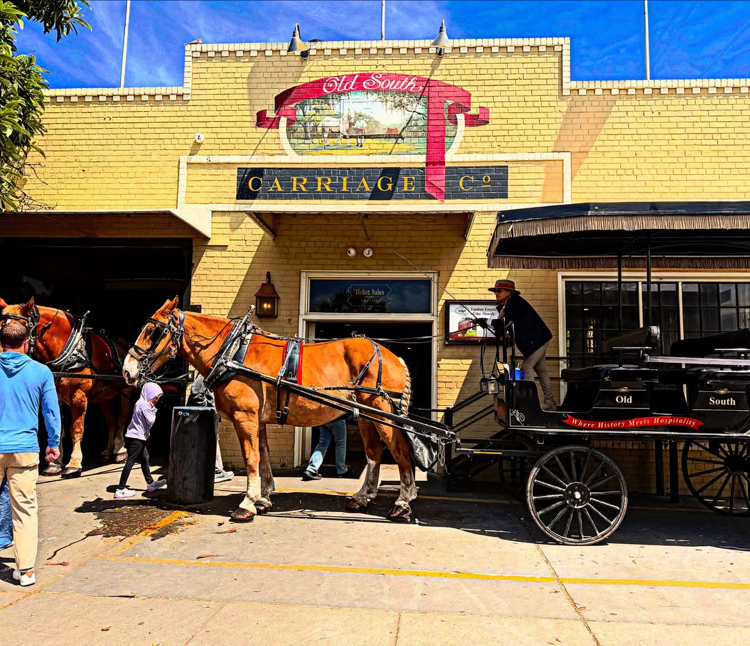 Carriage with two horses and driver in front of the Old South Carriage Co. building on a sunny day—an unforgettable highlight among things to do in Charleston with kids.