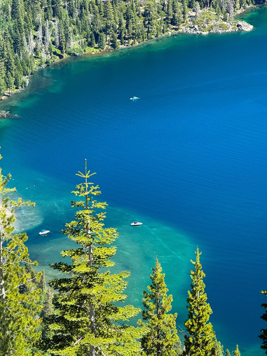 Aerial view of a deep blue lake bordered by pine trees, with boats floating near the shoreline—perfect for a family vacation to Lake Tahoe.