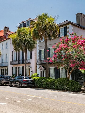 Colorful historic houses, palm trees, and parked cars line a sunny street on a clear day—one of many charming sights to enjoy while exploring things to do in Charleston with kids.