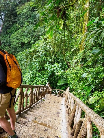A person with an orange backpack stands on jungle stairs, looking at a waterfall and turquoise pool.