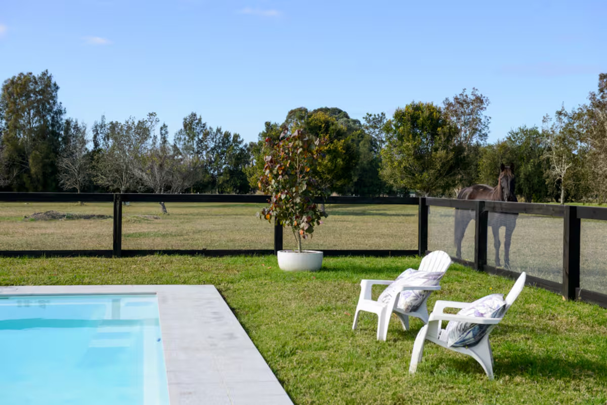 Two white chairs by a pool face a pasture with a horse standing near a black fence on a sunny day, the perfect scene for relaxing at cozy Finger Lakes vacation rentals or charming cottages.