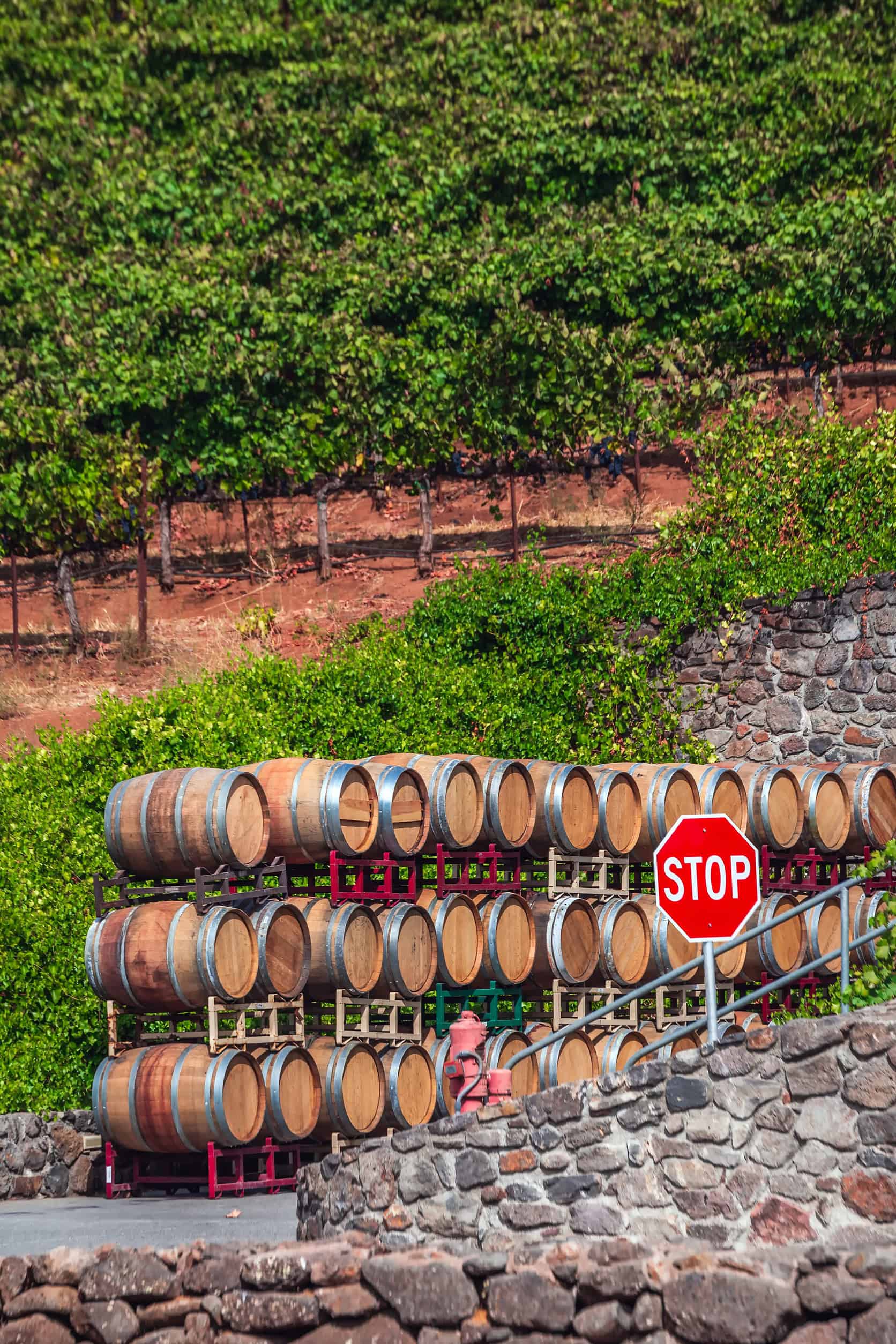 Wooden wine barrels stacked outside near a vineyard, with a stop sign in front and stone walls nearby&mdash;an inviting scene that captures the charm of wine tourism.