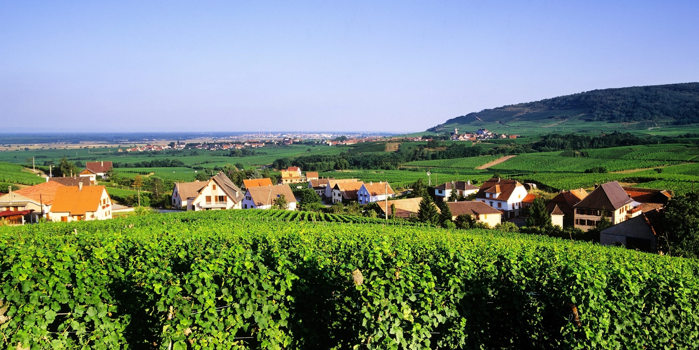 Vineyard landscape with village houses, green fields, and distant hills under a clear blue sky&mdash;an inviting scene perfect for wine tourism.